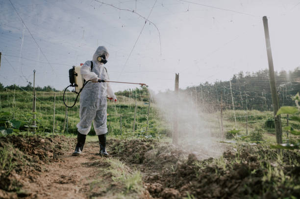 Best Best Pest Control Companies  in Little Falls, NY